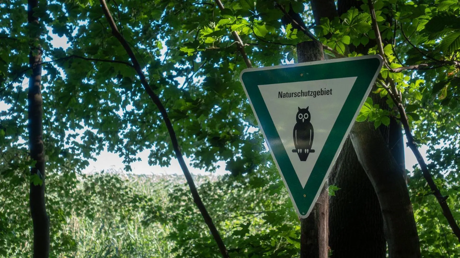 Ferienhaus Ferienpark Ruebezahl Am Mueggelsee, Haus 14 Linde Mit Eigener Sauna, Idealer Ort Fuer Natur- Und Erholungssuchende, Fuer Radfahrer, Familien Mit Kindern Und Hundeliebhaber Berlin