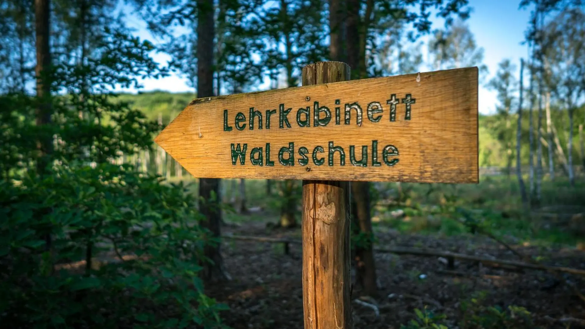 Ferienhaus Ferienpark Ruebezahl Am Mueggelsee, Haus 14 Linde Mit Eigener Sauna, Idealer Ort Fuer Natur- Und Erholungssuchende, Fuer Radfahrer, Familien Mit Kindern Und Hundeliebhaber Berlin